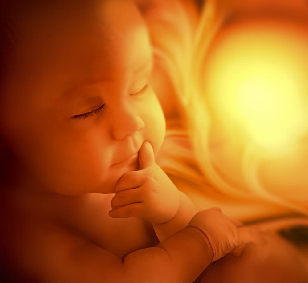 Baby In The Womb - Bardo Transformation