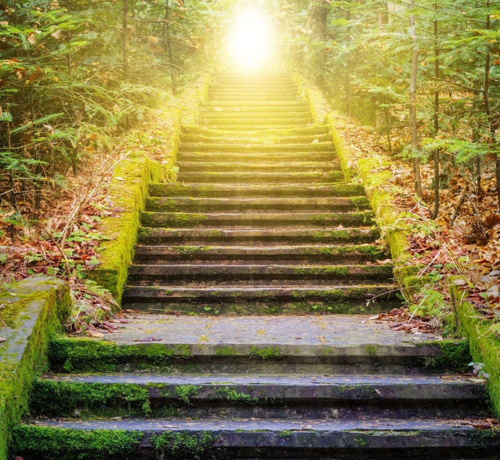 Sanctuary Meditation - Bardo Transformation